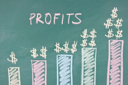 a chart is showing that the profit is increasing rapidly