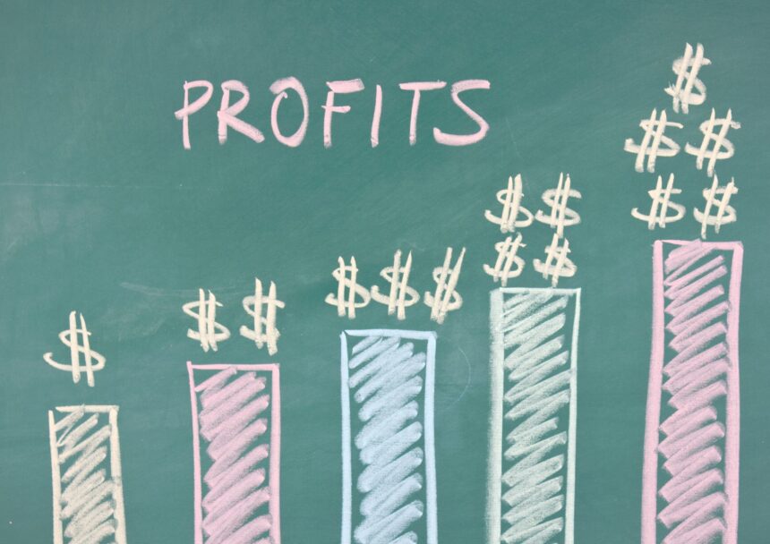 a chart is showing that the profit is increasing rapidly