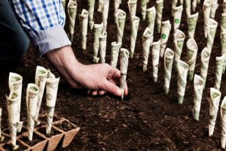 A man in planting some money to growth :-| - Invest Wisely Expert Guidance on Trading, Investing, and More