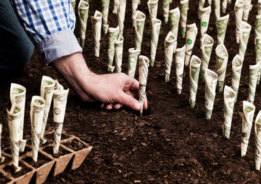 A man in planting some money to growth :-| - Invest Wisely Expert Guidance on Trading, Investing, and More